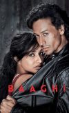 Baaghi izle
