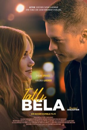 Beautiful Disaster