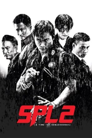 SPL 2: A Time For Consequences (2015)