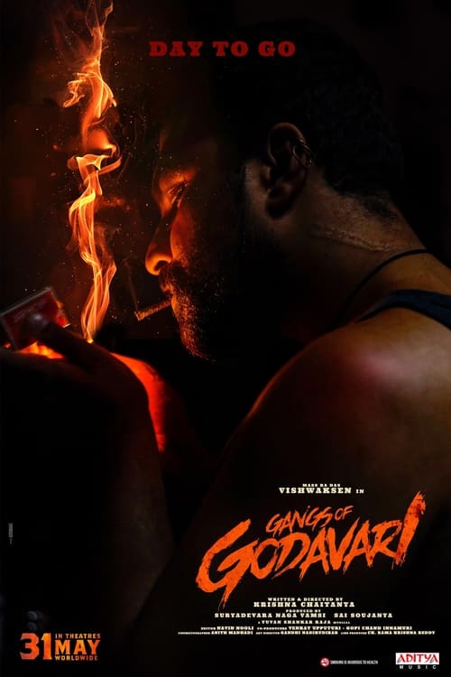 Gangs of Godavari (2024)