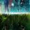 Yu Yu Hakusho : 1.Sezon 5.Bölüm izle