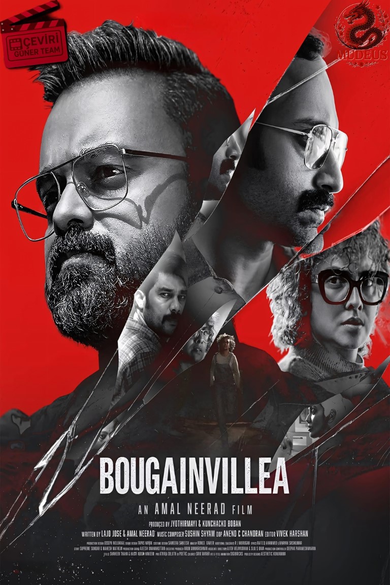 Bougainvillea 2024