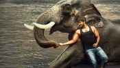 Raja Bheema izle