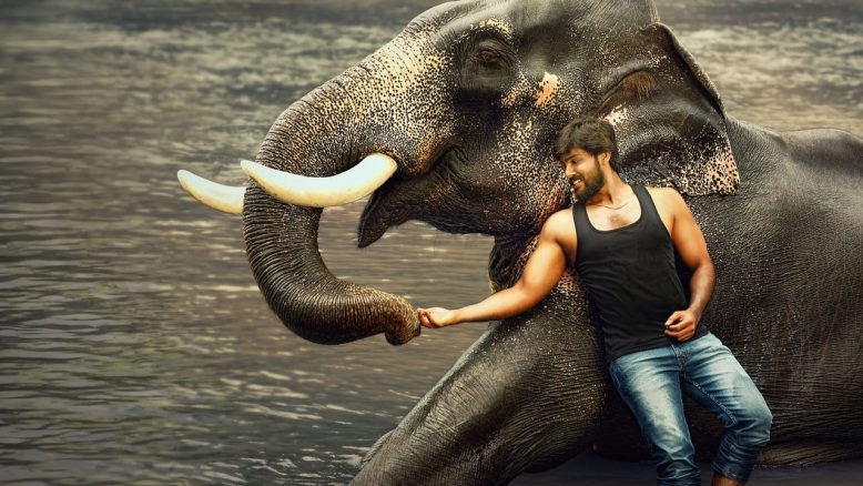 Raja Bheema izle