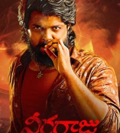 Veeraaraju 1991