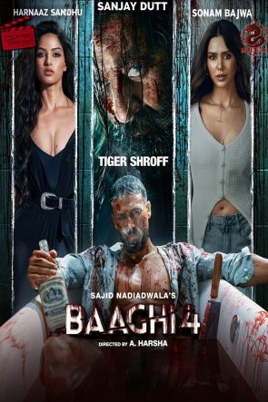 Baaghi 4