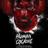 Human Cocaine 2026 Türkçe
