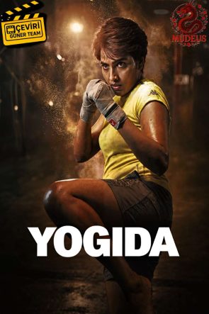 Yogi da 2026