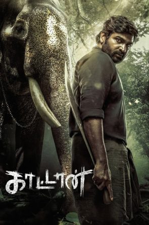 Muthu Engira Kaattaan