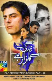 Zindagi Gulzar Hai izle