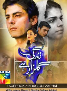 Zindagi Gulzar Hai izle