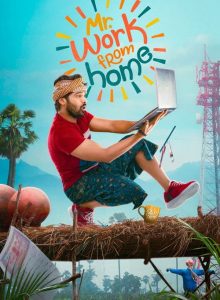 Mr. Work from Home izle