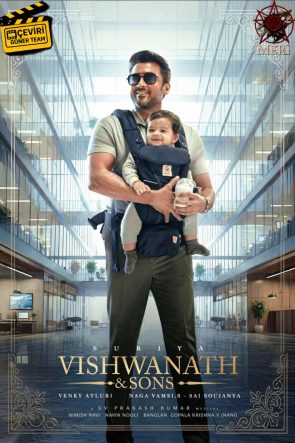 Vishwanath & Sons